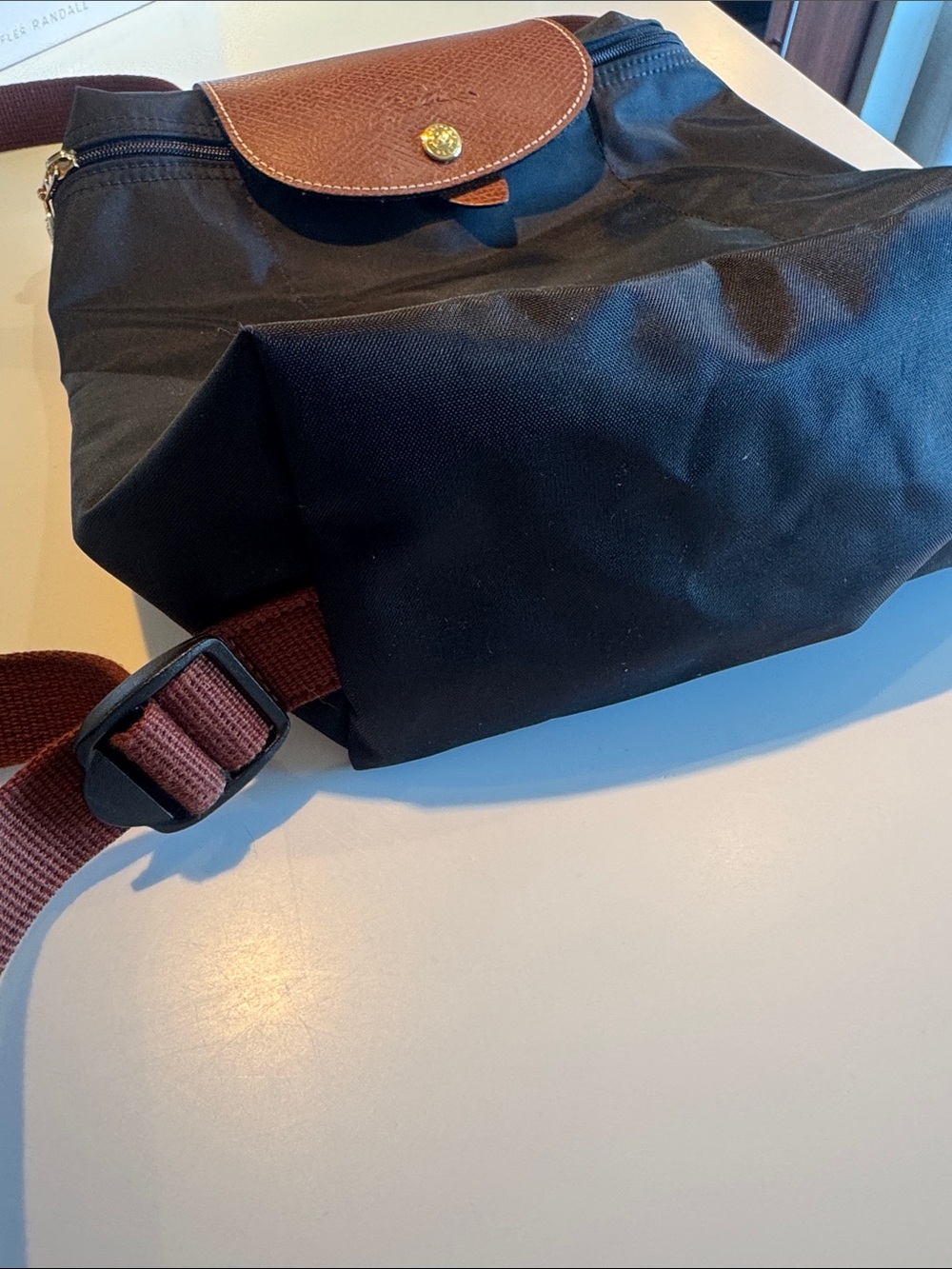 Longchamp Backpack - Picture 2 of 5